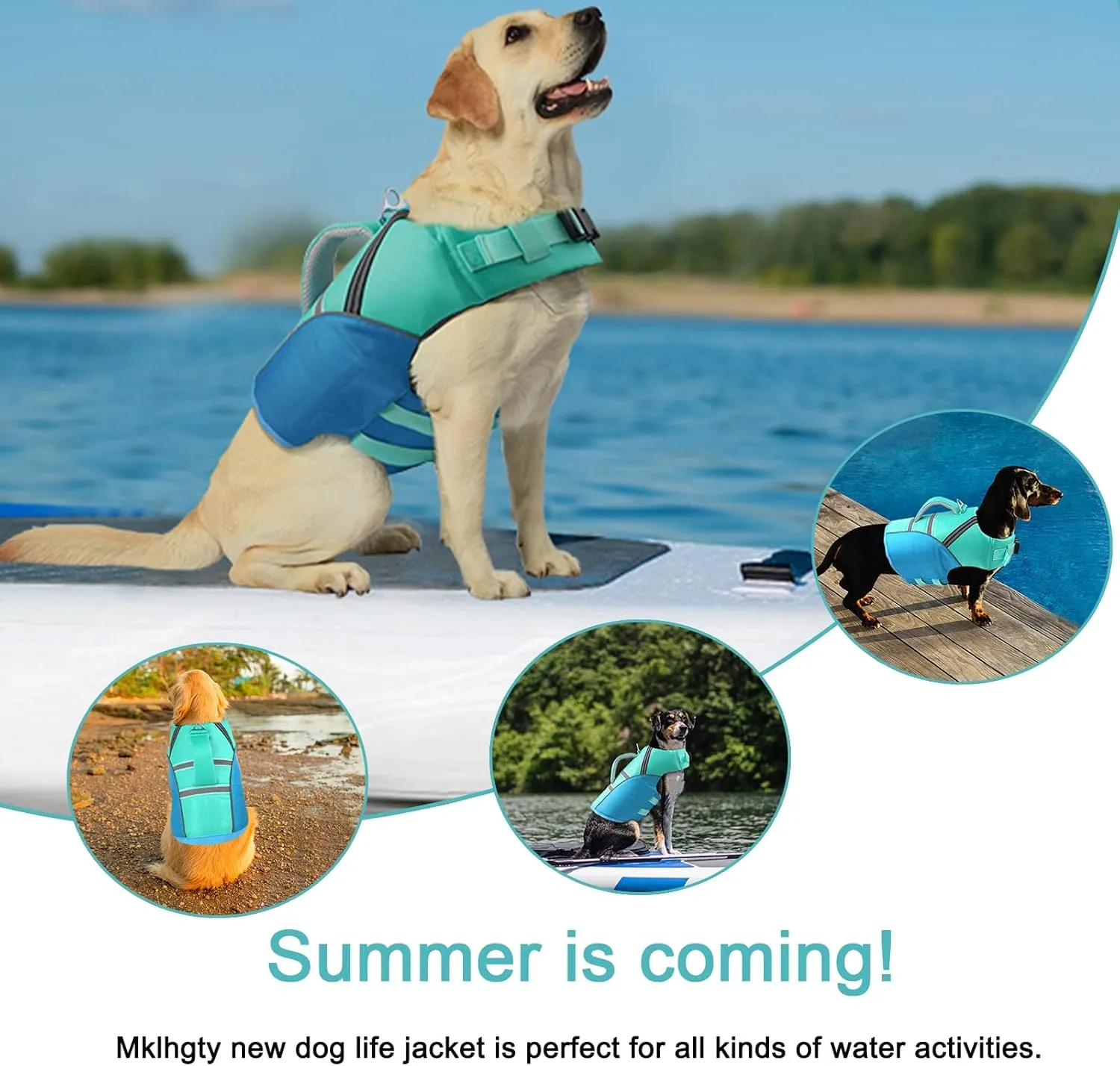 Dog Life Jacket for Swimming & Boating, Ripstop Safety Vest with Rescue Handle, High Buoyancy Preserver for Small Medium Large Dogs