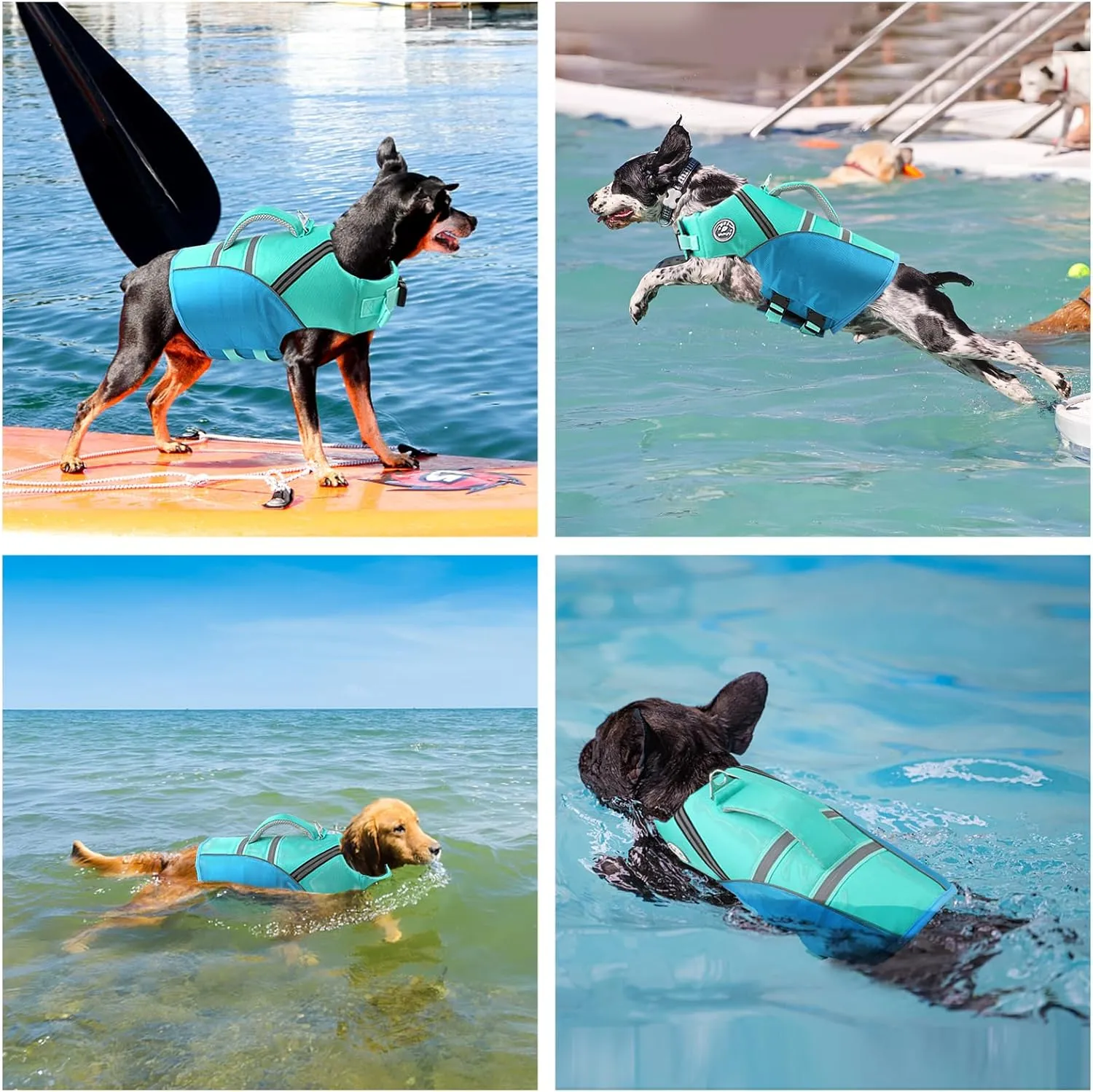 Dog Life Jacket for Swimming & Boating, Ripstop Safety Vest with Rescue Handle, High Buoyancy Preserver for Small Medium Large Dogs